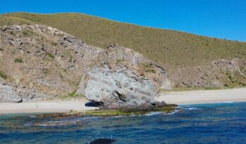 WhatsApp Image 2025-06-28 at 11.22.17 (1)