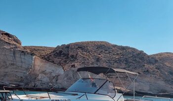 WhatsApp Image 2025-06-28 at 11.22.17 (3)