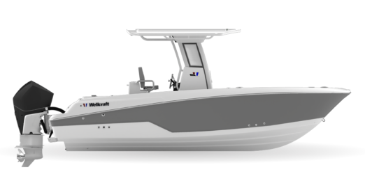 wellcraft 243 fisherman