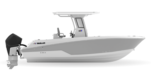 wellcraft 243 fisherman